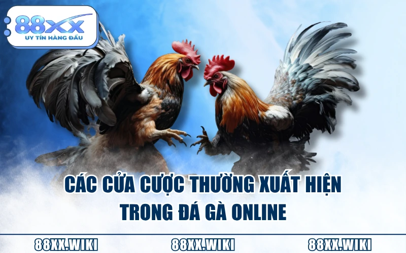 Các cửa cược thường xuất hiện trong đá gà online
