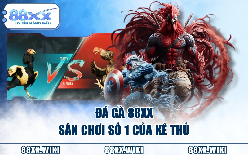 Đá Gà 88XX - Sân chơi số 1 của kê thủ