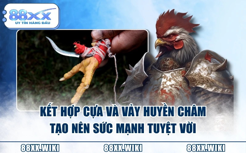 Kết hợp cựa và vảy huyền châm tạo nên sức mạnh tuyệt vời