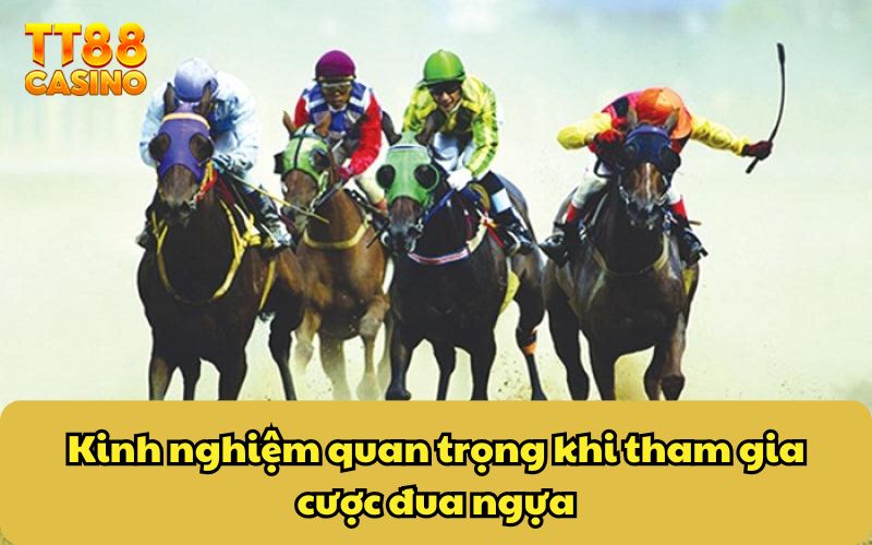 Đua Ngựa Ăn Xu - Game Giải Trí Hấp Dẫn Không Thể Bỏ Lỡ 5 Kinh nghiệm quan trọng khi tham gia cược đua ngựa