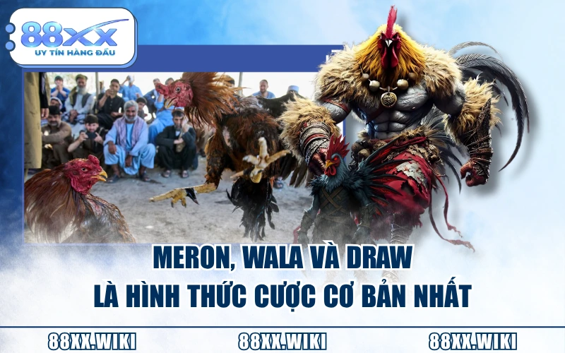 Meron, Wala và Draw là hình thức cược cơ bản nhất