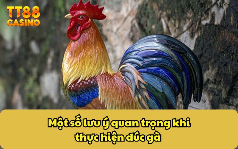 Kinh Nghiệm Đúc Gà Chiến Cực Hiệu Quả Từ Các Cao Thủ 5 Một số lưu ý quan trọng khi thực hiện đúc gà