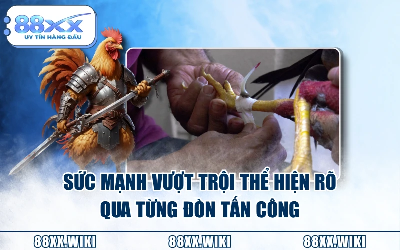 Sức mạnh vượt trội thể hiện rõ qua từng đòn tấn công