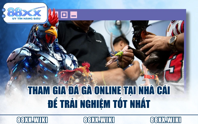 Tham gia đá gà online tại nhà cái để trải nghiệm tốt nhất