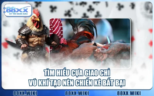 Tìm Hiểu Cựa Giao Chỉ - Vũ Khí Tạo Nên Chiến Kê Bất Bại